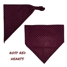 Load image into Gallery viewer, stretchy bandanas
